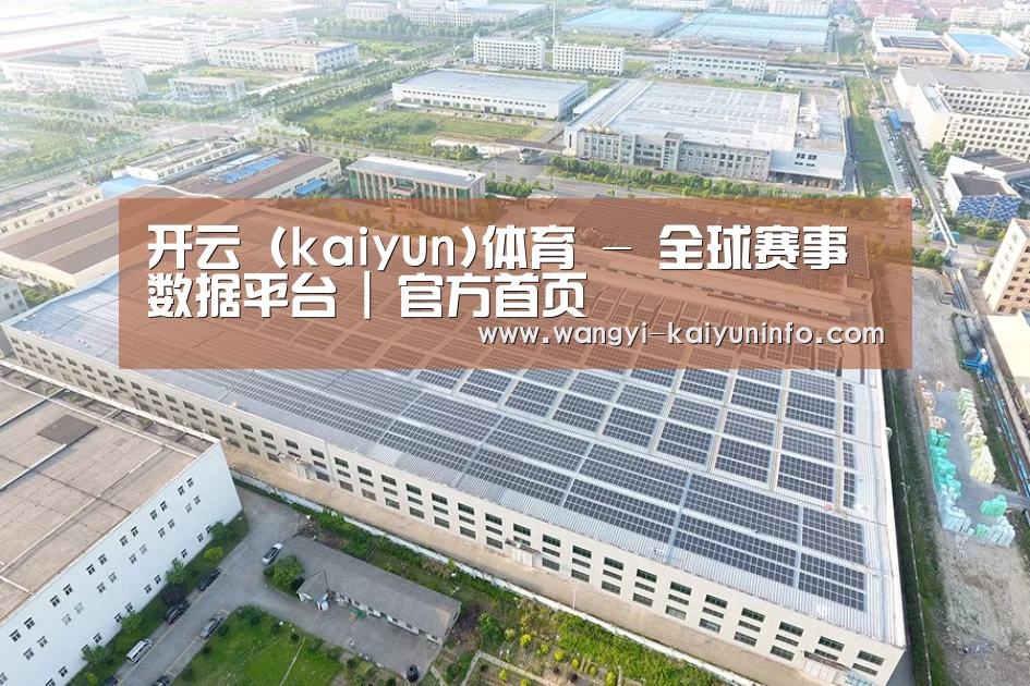 案例展示三