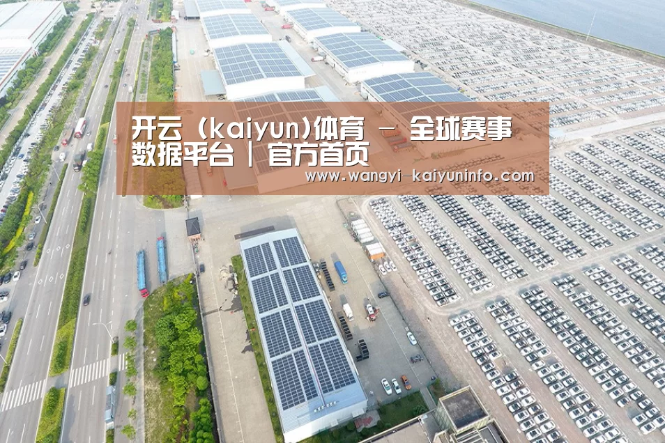 案例展示一