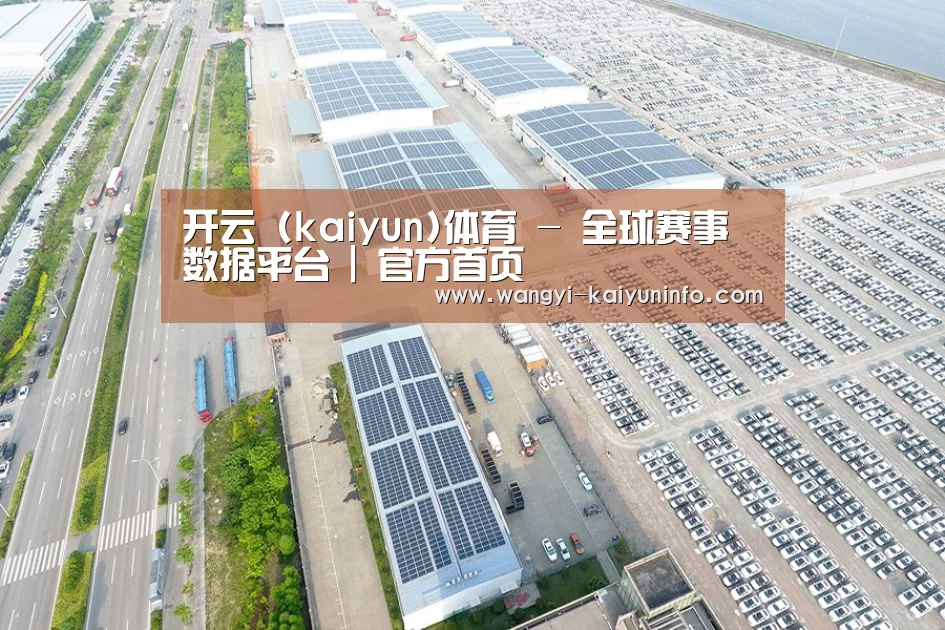 案例展示四