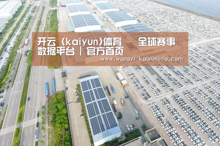 案例展示二