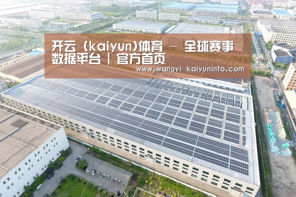 案例展示四